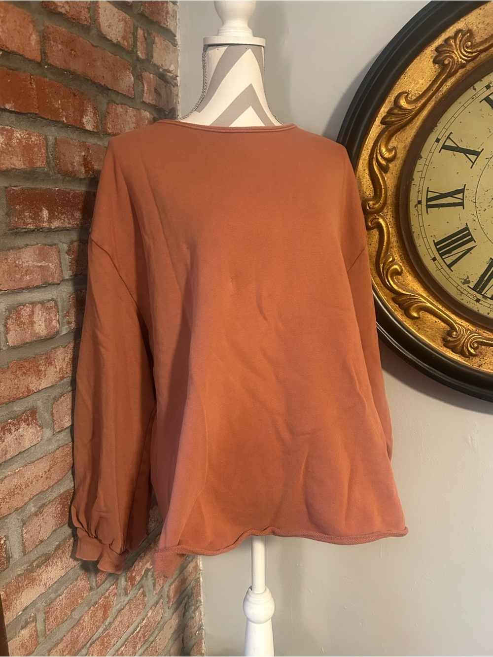 Universal Thread • 100% Cotton Burnt Orange Crewneck Top